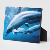 Plaque Photo Dauphins sous-marins (Côté)