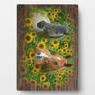 Plaque Photo De beaux chevaux dans le champ de tournesols