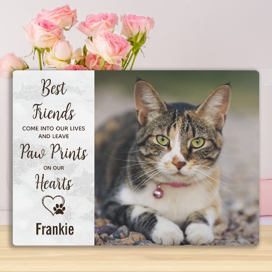 Plaque photo de chat en souvenir