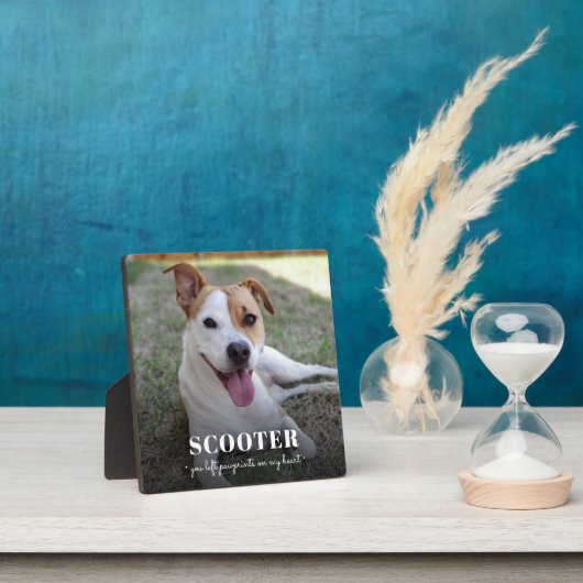 Plaque Photo de Chien Souvenir Empreintes de Patte (Insitu)