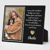 Plaque Photo De L'Autre Côté Du Pont Arc-En-Ciel King Charles S (Côté)