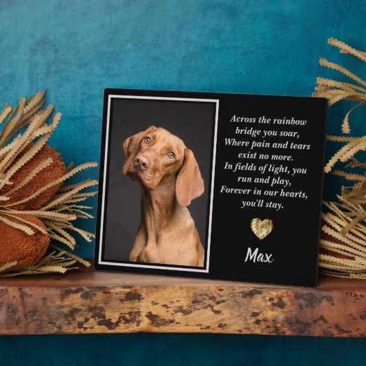 Plaque Photo De L'Autre Côté Du Pont Arc En Ciel Vizsla Chien (Côté)