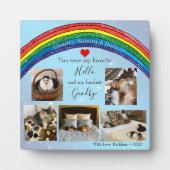 Plaque Photo de Monument Funéraire pour Mon Animal (Devant)