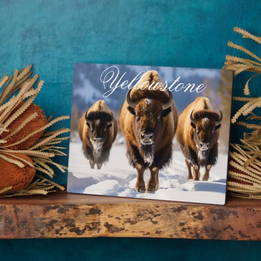 Plaque Photo Décor Art Décor -Yellowstone (Côté)