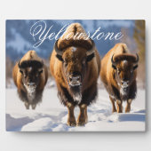 Plaque Photo Décor Art Décor -Yellowstone (Devant)