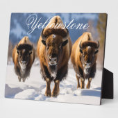 Plaque Photo Décor Art Décor -Yellowstone (Côté)