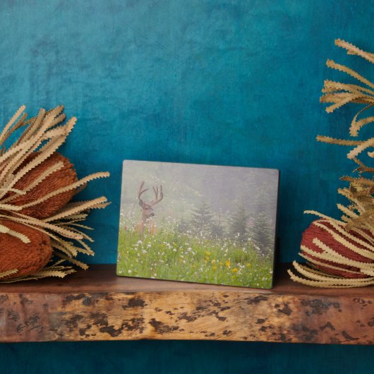 Plaque Photo Deer Buck | Parc national du Mont Rainier (Côté)