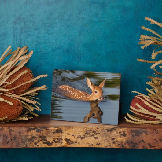 Plaque Photo Deer Fawn | Minnesota (Côté)