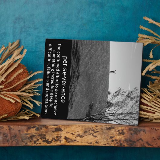 Plaque Photo Définition de persévérance (Côté)