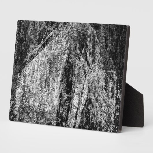 Plaque Photo demeure (Côté)