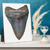 Plaque Photo Dent de requin Megalodon (Côté)