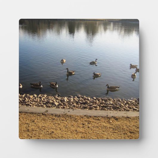 Plaque Photo Denver City Park (Devant)