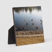 Plaque Photo Denver City Park (Recto)