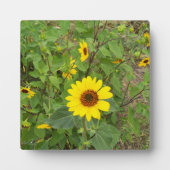 Plaque Photo Des Fleurs De Soleil Fluent Au Vent, (Devant)