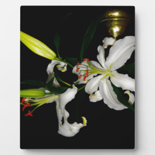 Plaque Photo Design irlandais - La collection Flower