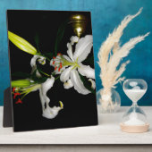 Plaque Photo Design irlandais - La collection Flower (Côté)