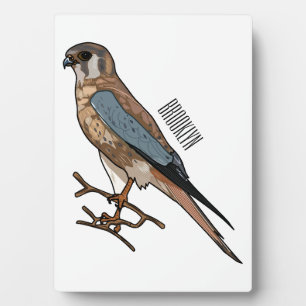 Plaque Photo dessin animé d'oiseau-kestrel américain