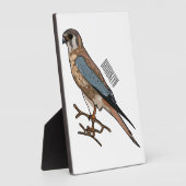 Plaque Photo dessin animé d'oiseau-kestrel américain (Côté)