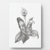 Plaque Photo Dessin Peace Lily (Devant)