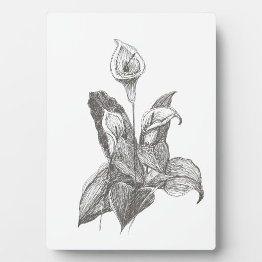 Plaque Photo Dessin Peace Lily (Devant)