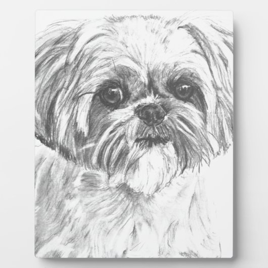 Plaque Photo Dessin Shih Tzu (Devant)