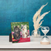 Plaque Photo Deux Chatons Assis Sur Une Couverture Rouge (Insitu)