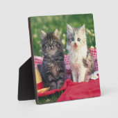 Plaque Photo Deux Chatons Assis Sur Une Couverture Rouge (Recto)