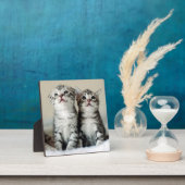 Plaque Photo Deux chatons mignons (Insitu)