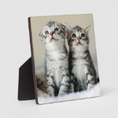 Plaque Photo Deux chatons mignons (Recto)