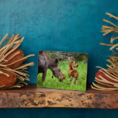 Plaque Photo Deux Mère Et Bébé De L'Oie D'Alerte (Côté)