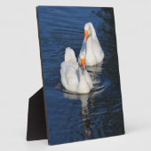 Plaque Photo Deux oies d'Emden II (Côté)