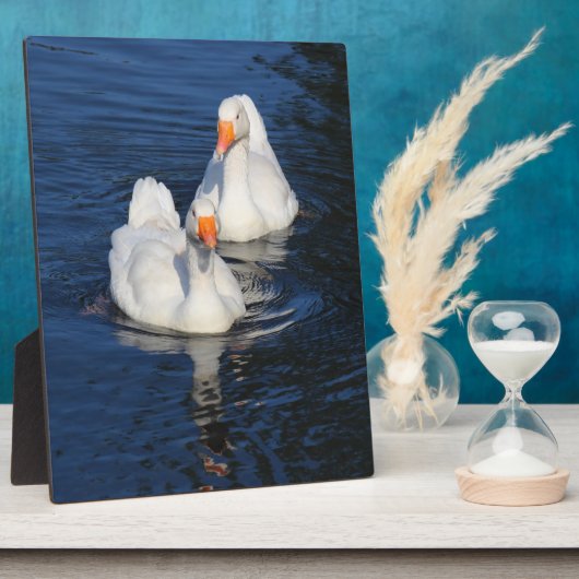 Plaque Photo Deux oies d'Emden II (Côté)