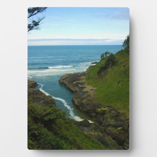 Plaque Photo Devil's Churn, cape Perpetua, OR (Devant)