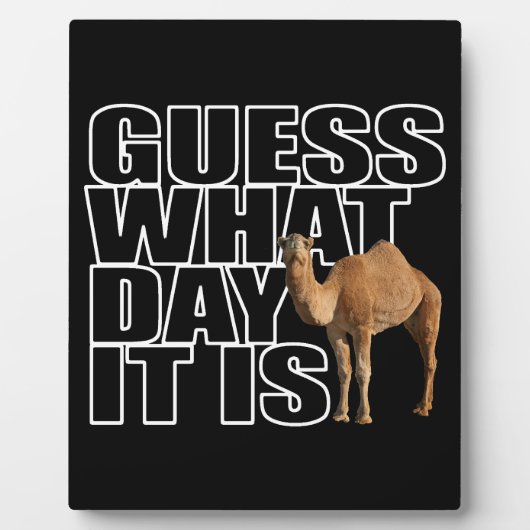 Plaque Photo Devinez Quel Jour C'Est Hump Day Camel (Devant)