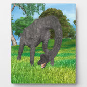 Plaque Photo Dinosaure Brachiosaurus (Devant)