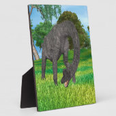 Plaque Photo Dinosaure Brachiosaurus (Côté)