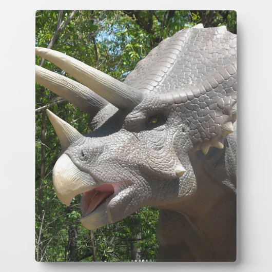 Plaque Photo dinosaure de Tricératops (Devant)