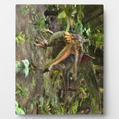 Plaque Photo Dinosaure Spinosaurus (Devant)
