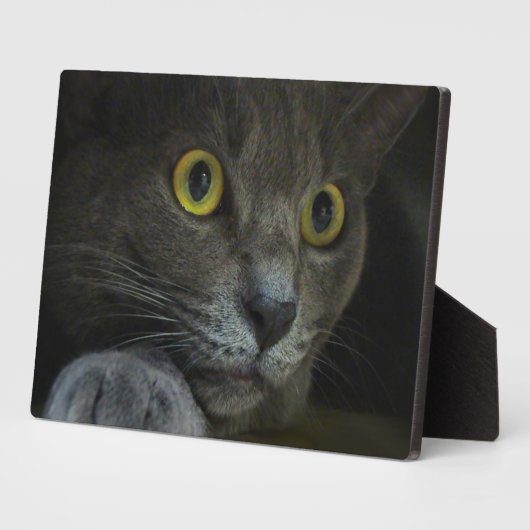 Plaque photo d'intensité (Côté)