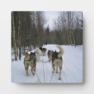 Plaque Photo Dog Sledding à Québec, Canada