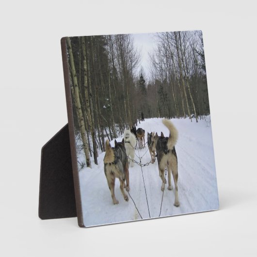 Plaque Photo Dog Sledding à Québec, Canada (Recto)