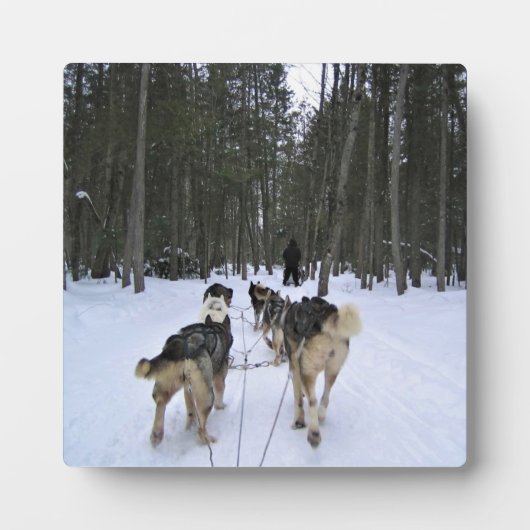 Plaque Photo Dog Sledding à Québec, Canada (Devant)