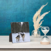 Plaque Photo Dog Sledding à Québec, Canada (Insitu)