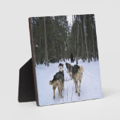 Plaque Photo Dog Sledding à Québec, Canada (Recto)