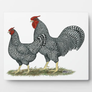 Plaque Photo Dominique Chickens