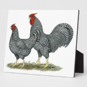 Plaque Photo Dominique Chickens (Côté)