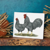 Plaque Photo Dominique Chickens (Côté)