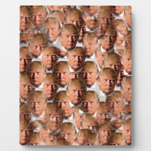 Plaque Photo donald drumpf