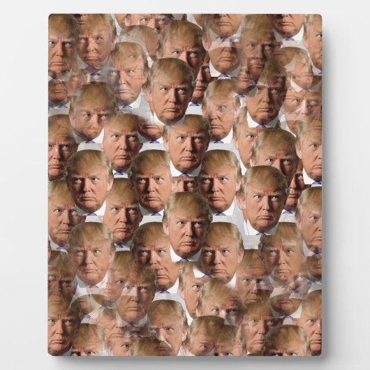 Plaque Photo donald drumpf (Devant)