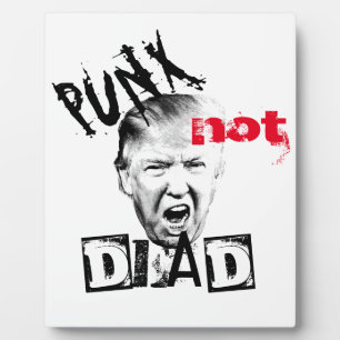 Plaque Photo DONALD TRUMP - PUNX pas MORT !